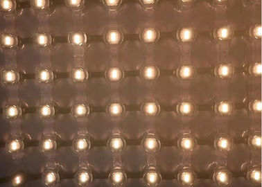 Waterproof LED Net Mesh Fairy Lights 180 Degrees Wide Viewing Angel 10cm Spacing