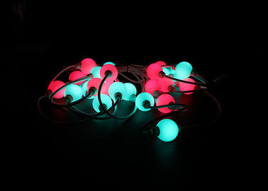 Magic Addressable RGB LED Light Ball Low Voltage Smart Individually Controlled