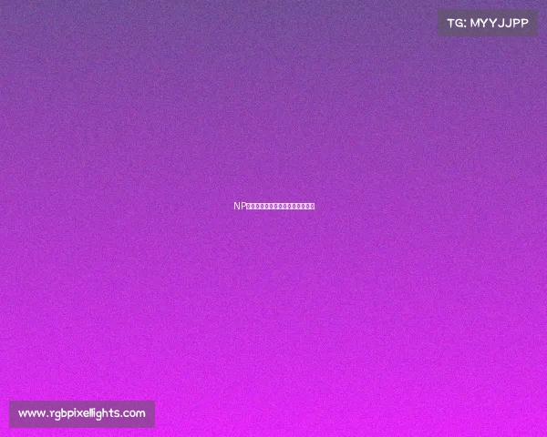 NP战队：荣耀之师能否再铸新传奇？